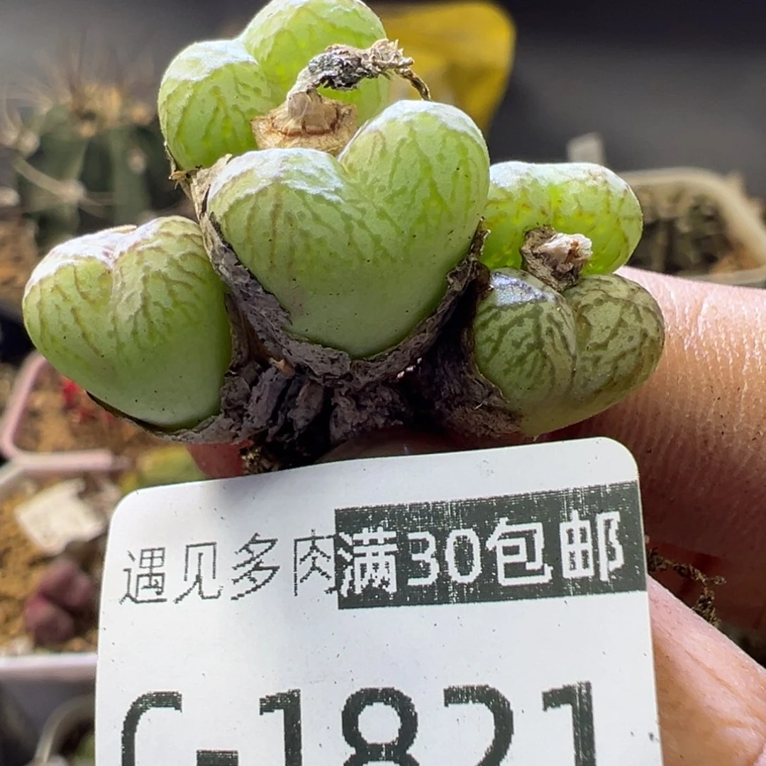 1111111111111111111111