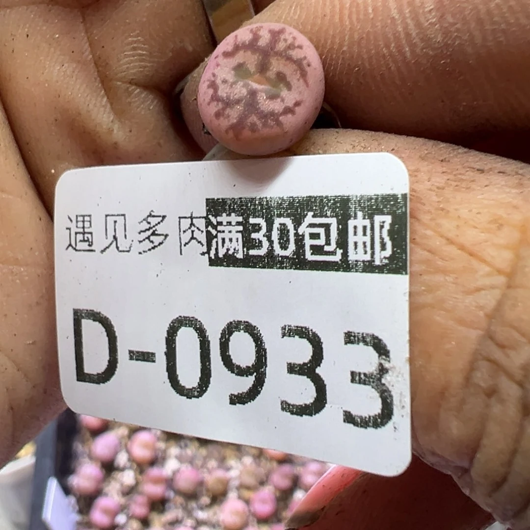 从*11111111111111111111111