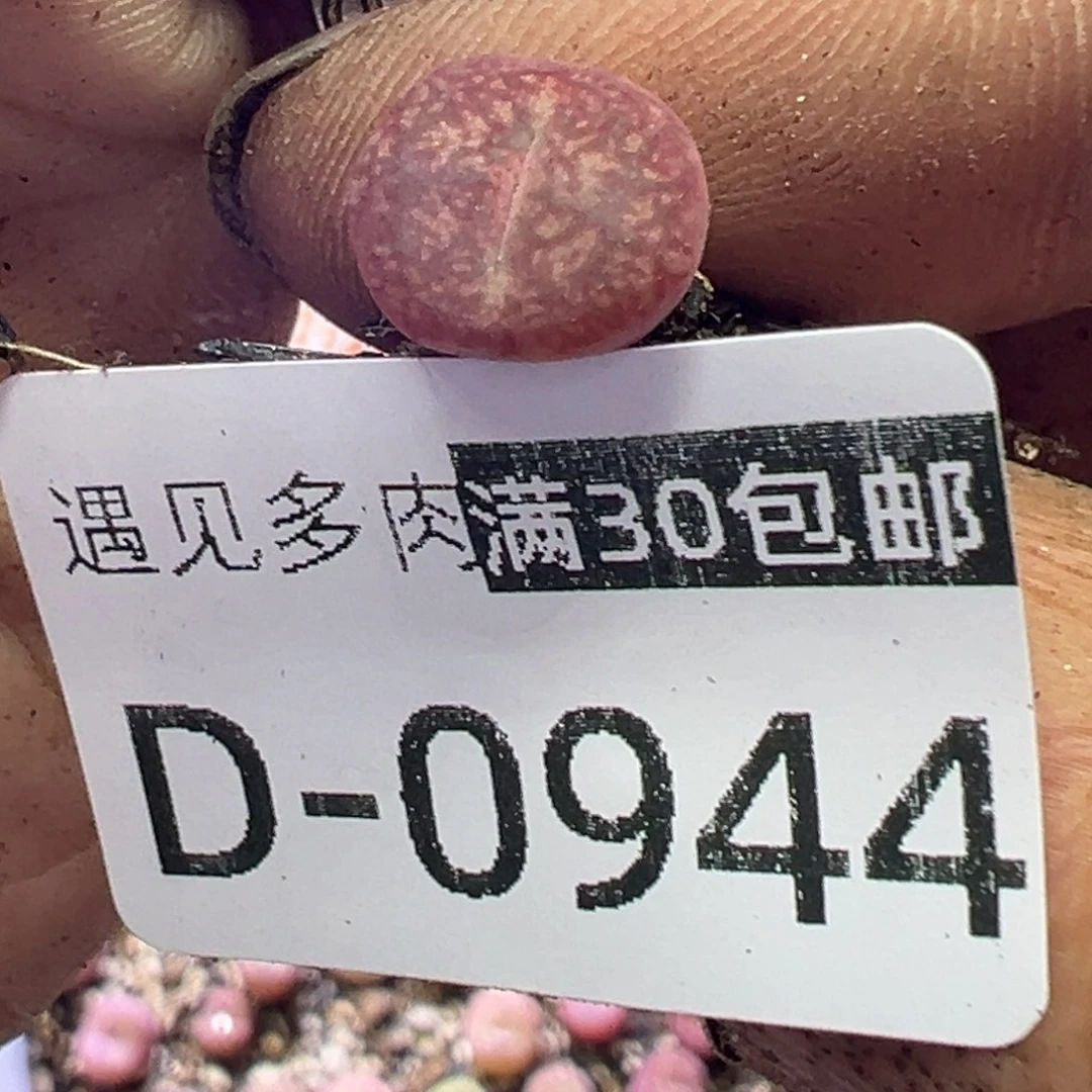 抱**·11111111111111111111111