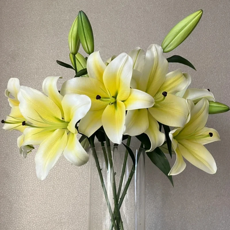 【高品质黄天霸多头百合】香味浓云南鲜切花办公接待前台家用插花