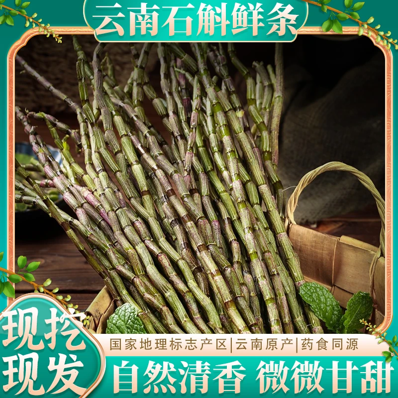 云南保山新鲜石斛鲜条胶质饱满产地现摘现发包邮