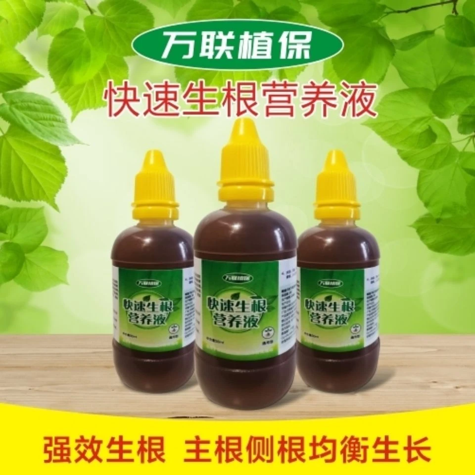 快速生根剂生根粉植物生根水营养液绿萝多肉花卉扦插大树发根包邮