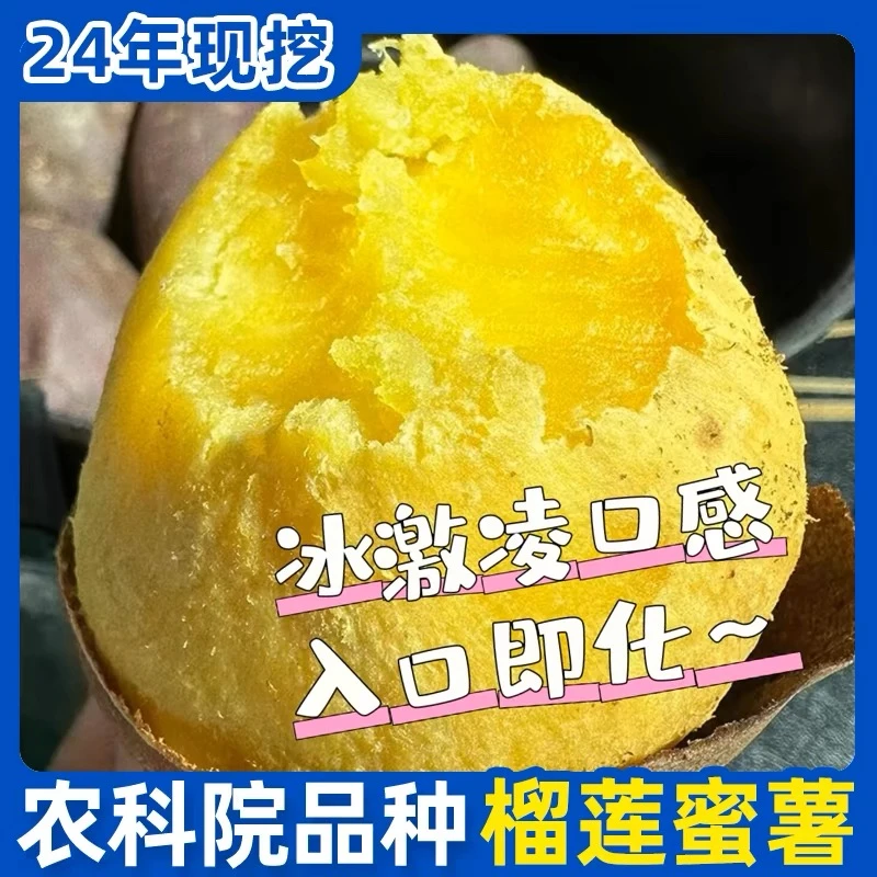 正宗红瑶榴莲蜜薯红薯烤地瓜黄金蜜薯黄心丝滑蜜薯软糯香甜如蜜