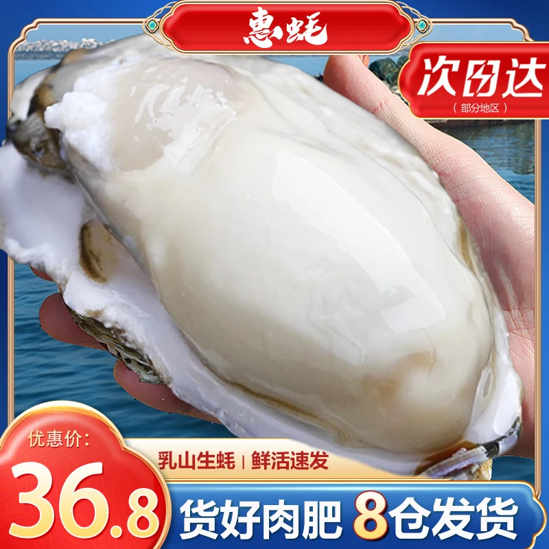 惠蚝【速发】8仓发货 正宗乳山鲜活生蚝 原产地捕捞 速发鲜活到家