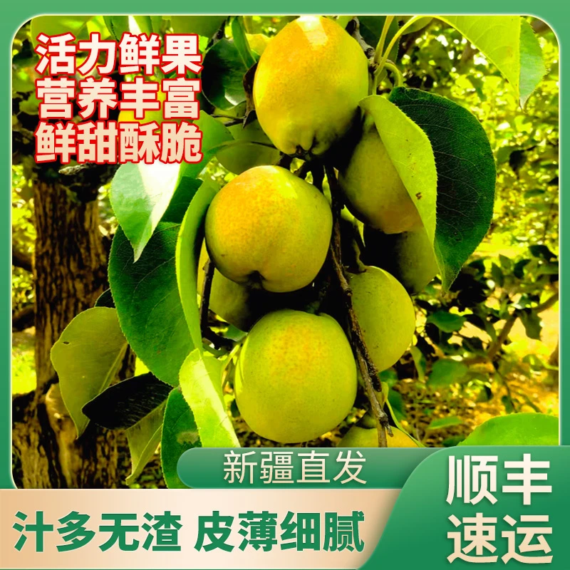 西域圣果库尔勒香梨120-200g十斤装