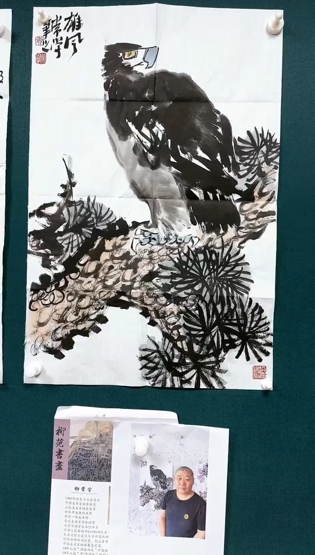 【闪购商品】绘画花鸟