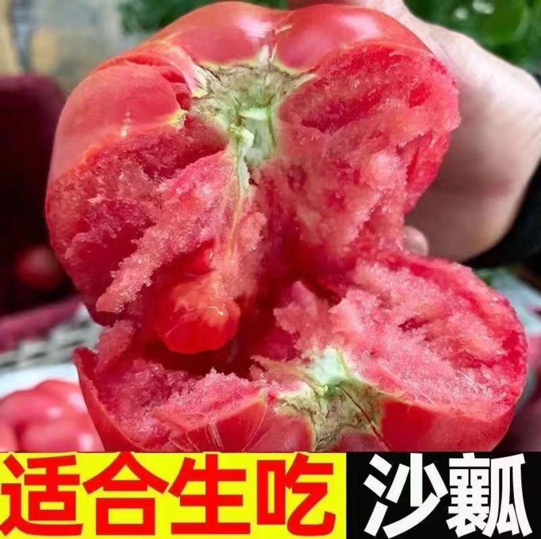【顺丰包邮】陕西泾阳普罗旺斯沙瓤水果西红柿4.5斤装