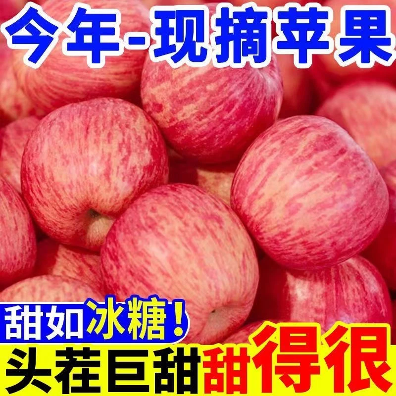 苹果新鲜水果红苹果脆甜多汁山东烟台红富士苹果5斤