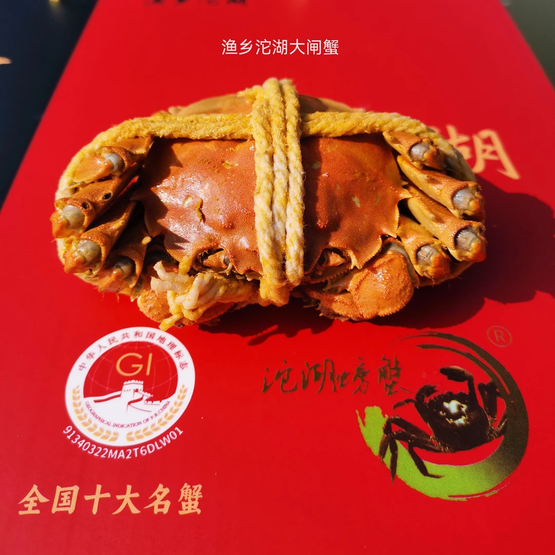 精品安徽沱湖大闸蟹母蟹3.4-3.7两10只净重鲜活湖