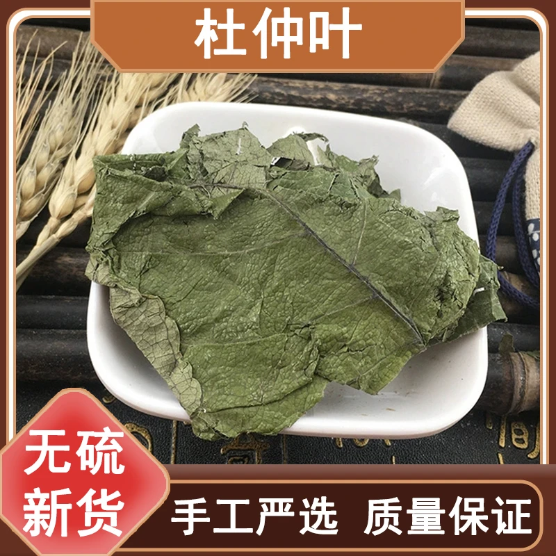 杜仲叶 新鲜干货 500g克包邮 无硫杜仲 新树叶 杜仲 晒干精选