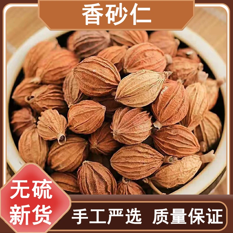 新货香砂仁大果250g-500g包邮香砂仁金砂仁炖肉卤菜香料非天门冬