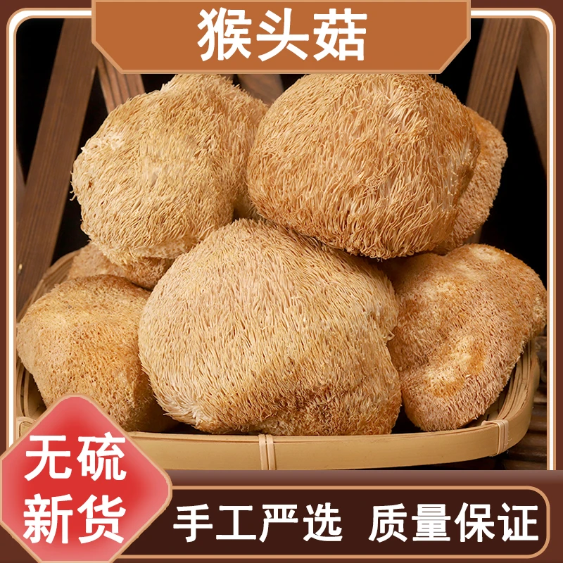 猴头菇新货猴头菇新鲜干货无硫250g-500g克优质产品煲汤另售葛根