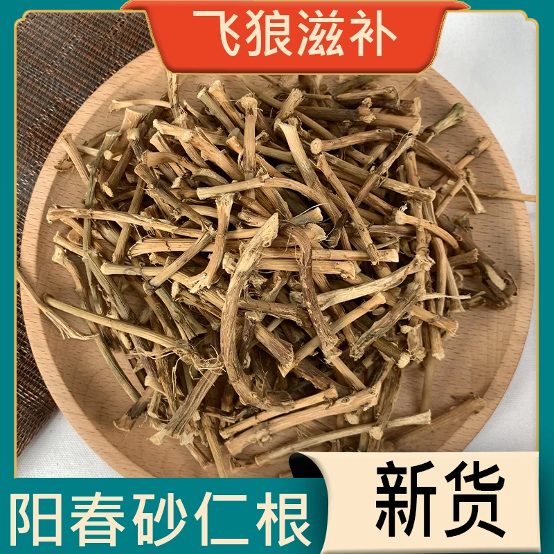 野生春砂仁根正宗阳春春砂仁干根煲汤农家晾晒125g-500g优质