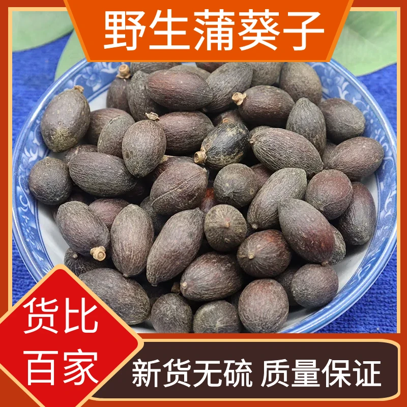 野生葵树子精选广西大粒葵树籽老果葵扇子葵扇籽蒲葵子250g-1000g