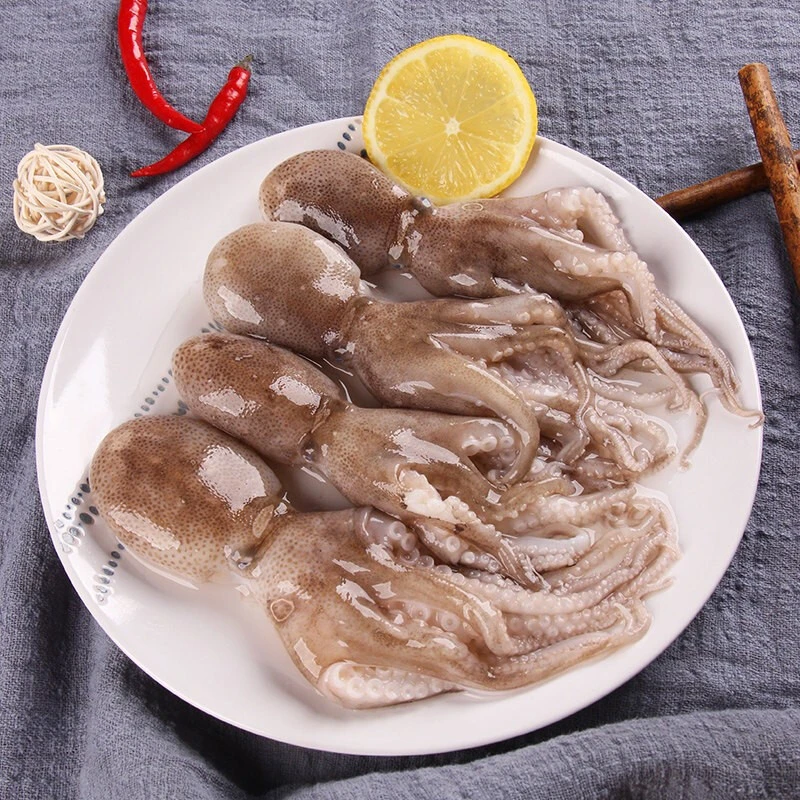 短腿八爪鱼 美味海鲜  4斤/每斤6个左右（活体速冻发货）