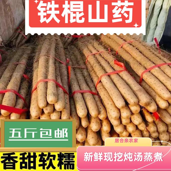 铁棍山药软糯甘香面甜特产新鲜垆土农家现挖五斤营养50-70厘米