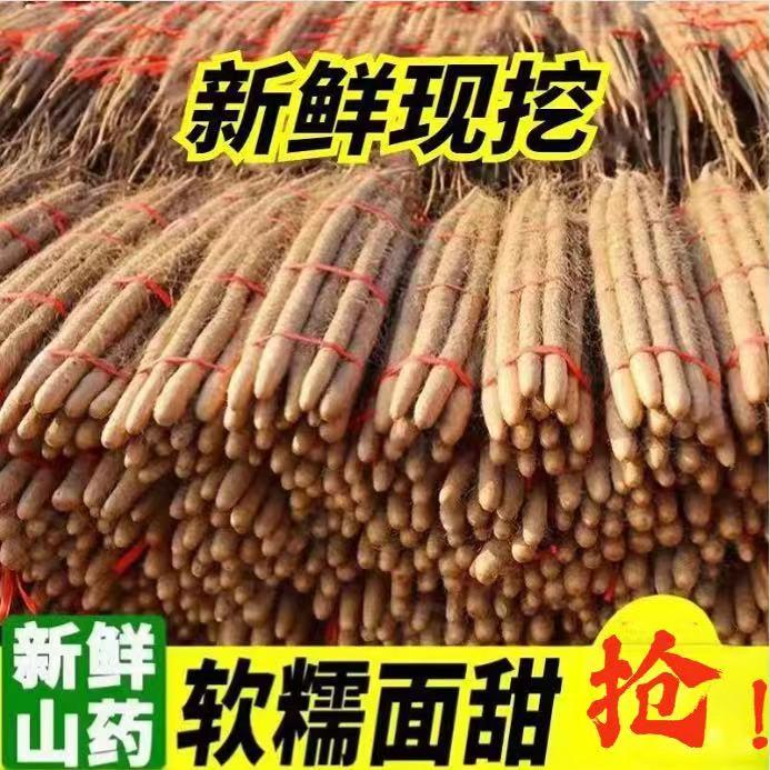 铁棍山药粉糯甘香特产山药农家自产甄选山药500g起优质新鲜品质
