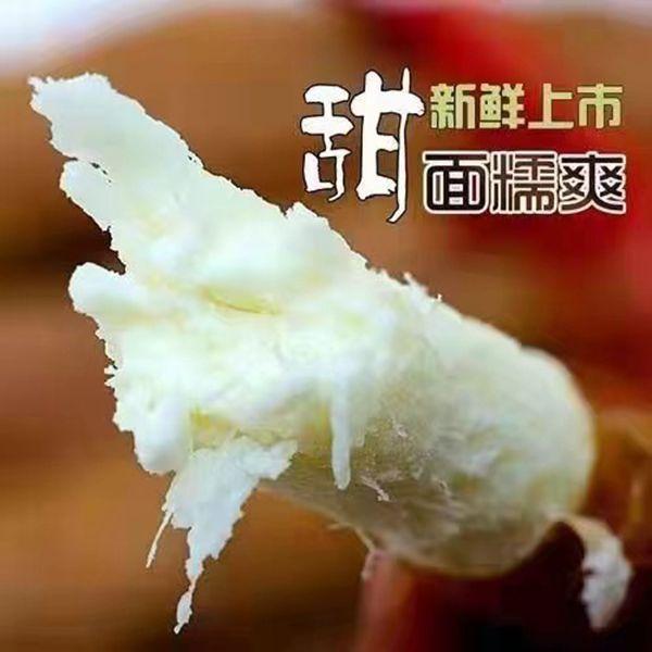 20.9五斤铁棍山药特产粉糯香甜营养新鲜现挖直达2500g