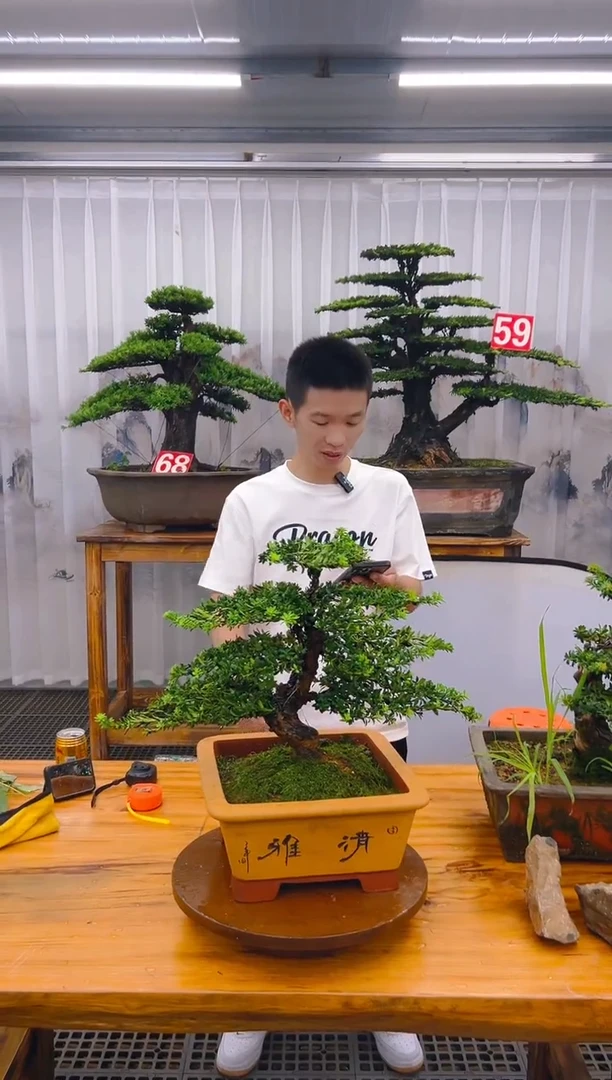 【闪购商品】紫砂精品盆景直播间一物一拍
