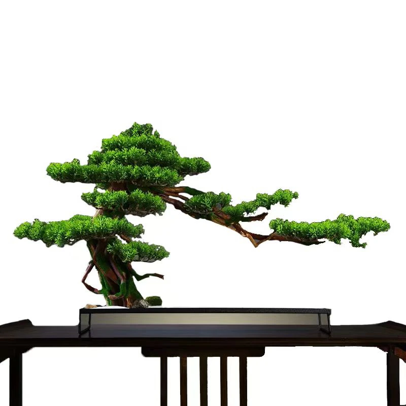 精品盆景直播间一物一拍【酒店 别墅 办公室 四合院美观寓意景观】