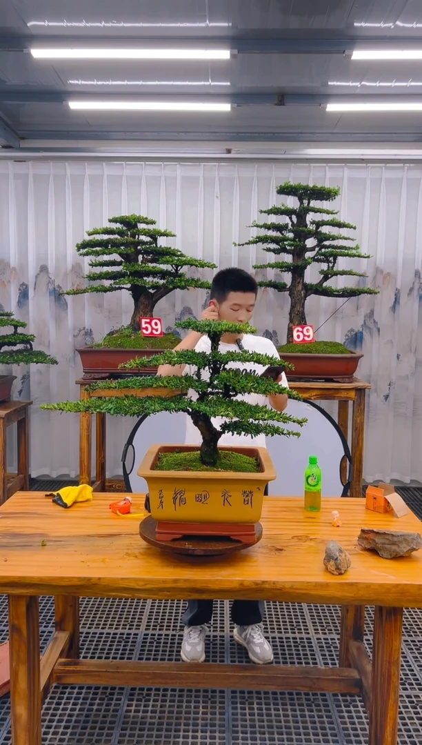 【闪购商品】紫砂精品盆景直播间一物一拍