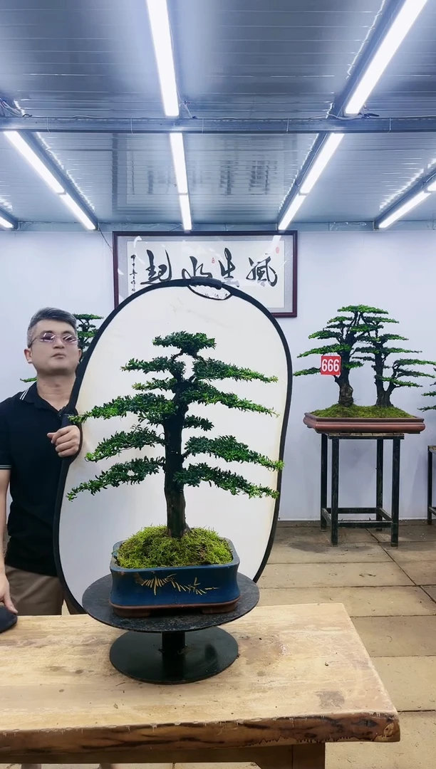 【闪购商品】000000