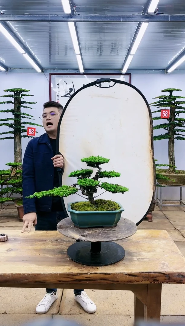 【闪购商品】一物一拍，所见即所得