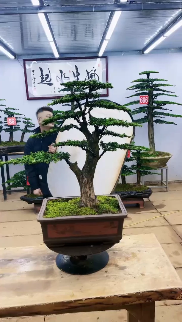 【闪购商品】一物一拍,所见即所得