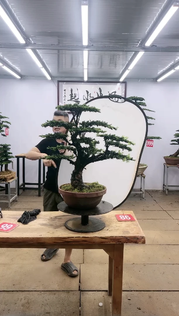【闪购商品】000000