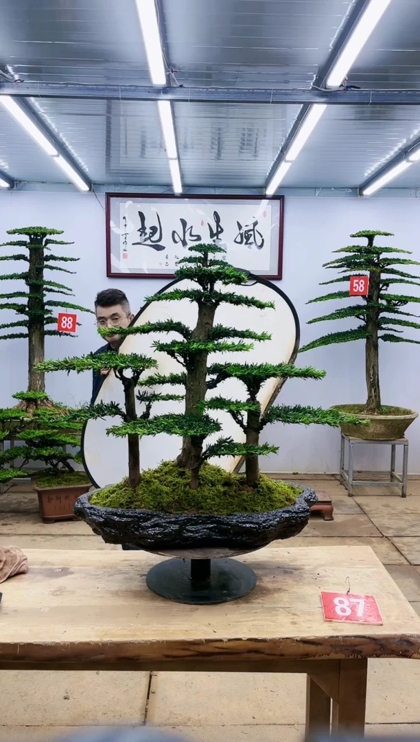 【闪购商品】一物一拍，所见即所得