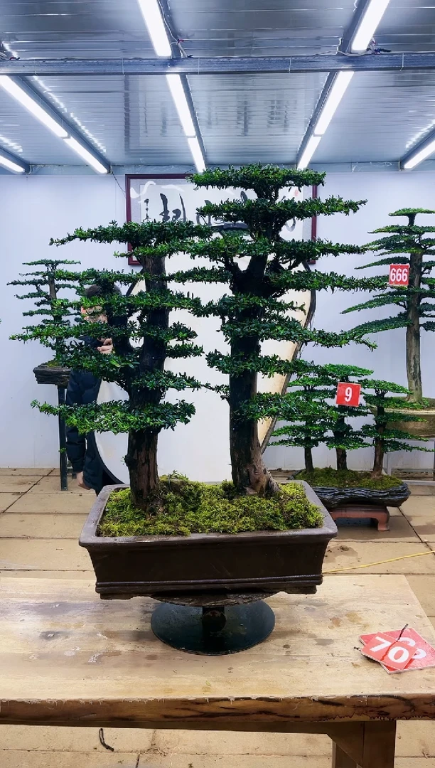 【闪购商品】一物一拍，所见即所得