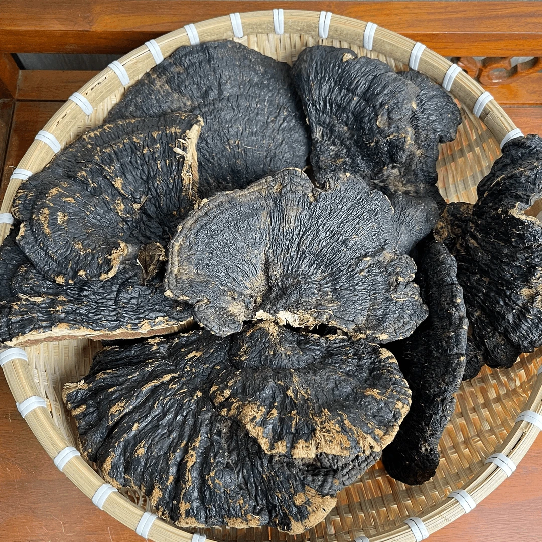 不苦灵芝无柄黑树芝散装农产品