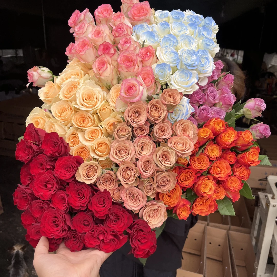 【何美丽鲜花爆款】【云南昆明鲜花基地直发 】自由搭配+2单以上包邮