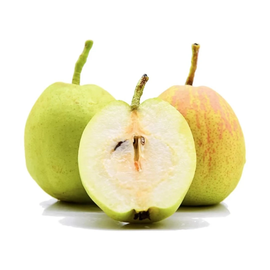 新疆库尔勒香梨500g 中大果 120g/个