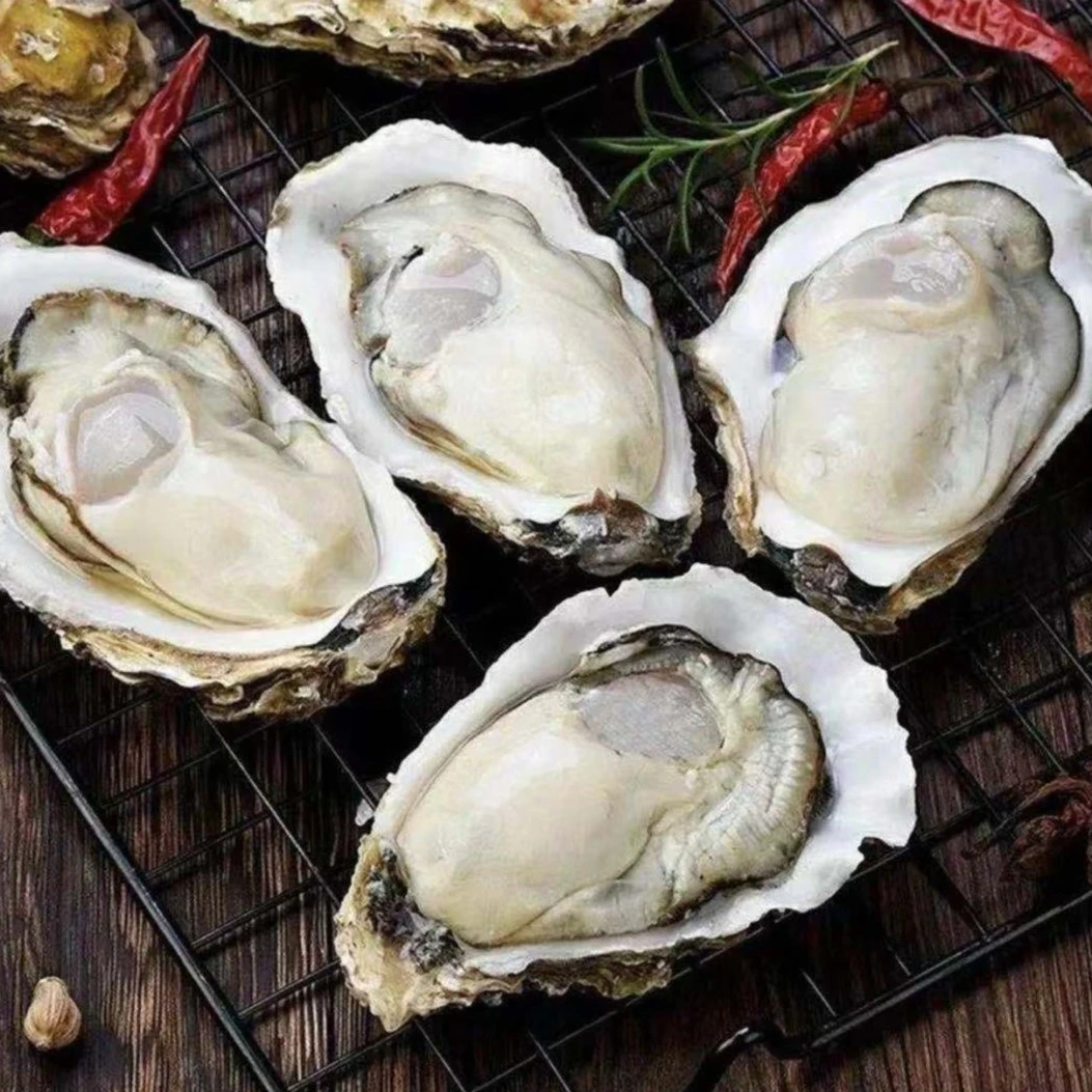 5+规格大个生蚝   到手9斤  2只左右/斤  加吃蚝三件套