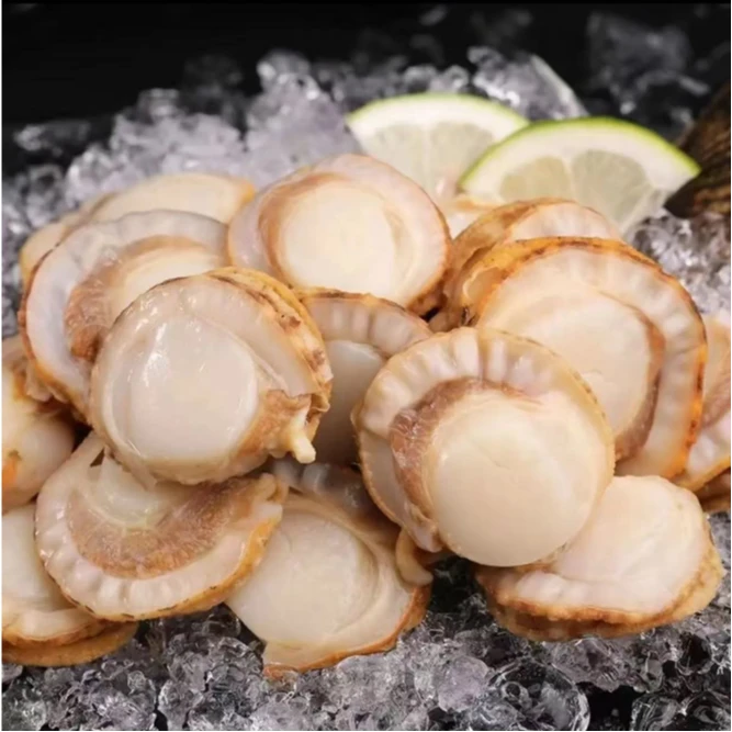 新鲜港湾贝 无壳无泥沙发货 500g/包  到手5包