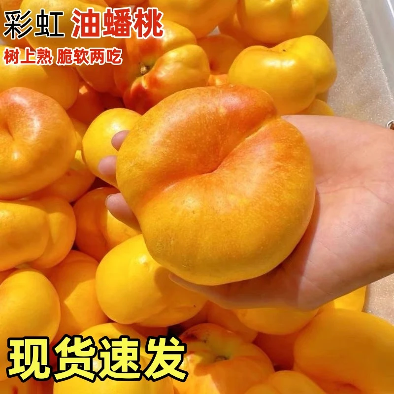 【彩虹蟠桃】新鲜水果无毛蟠桃黄金油扁桃皮薄肉厚多汁当季整箱包邮