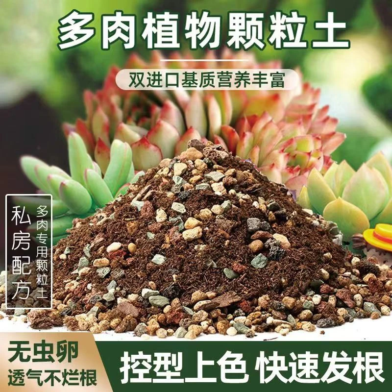 颗粒土   养肉必备控型控色发根快