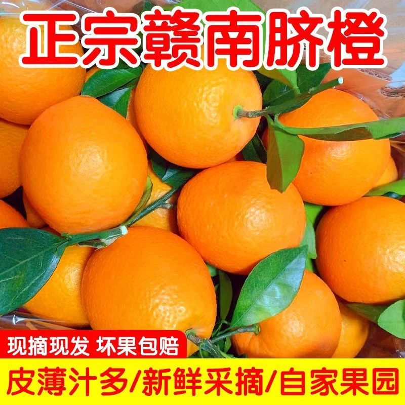 正宗江西赣州赣南脐橙10斤新鲜甜橙子应当季水果整箱产地直发直销