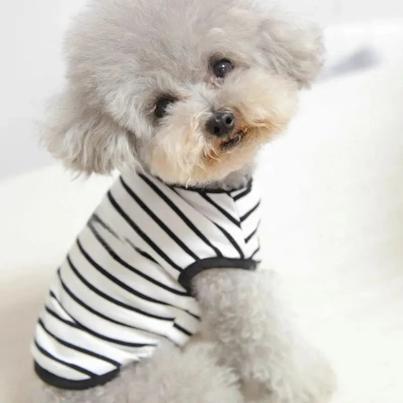 春夏季薄款条纹背心宠物比熊雪纳瑞小型犬泰迪狗狗衣服猫咪幼猫