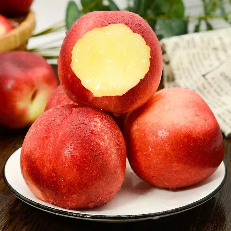 《丹选》智利白油桃 大果 4斤 顺丰包邮 坏果包赔