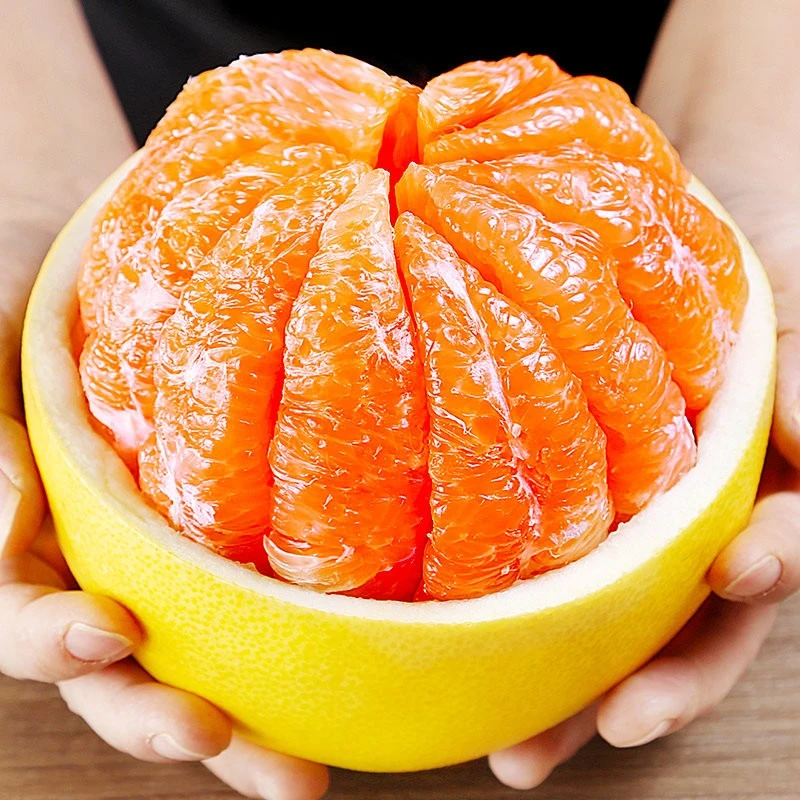 《丹选》黄金蜜柚 4-8斤  2/4粒 礼盒  顺丰包邮