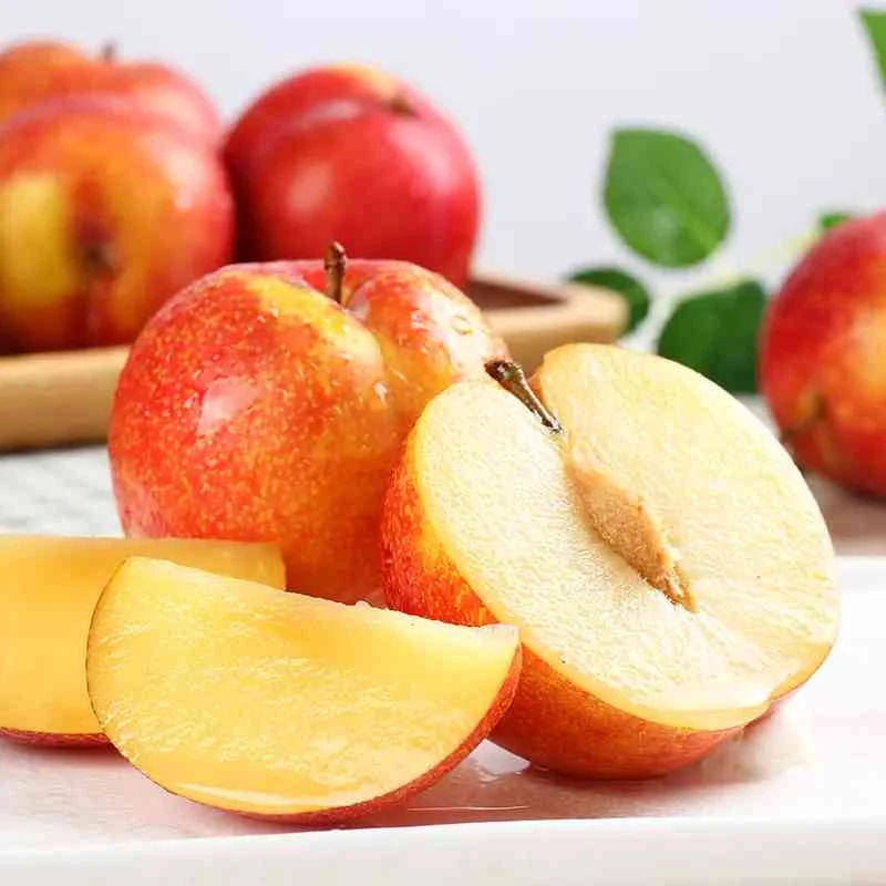 《丹选》大红袍李子 4斤  京东包邮  生鲜水果 坏果包赔