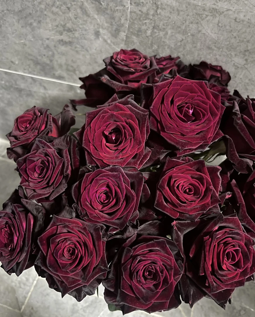 【黑巴克玫瑰】 全场任意三单升级空运可分开下单 云南基地直发