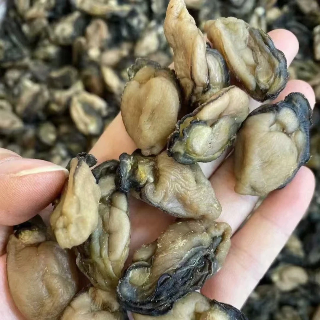 福利 湛江渔民自晒淡干200头生蚝干海鲜产品天然海蛎便宜靓货