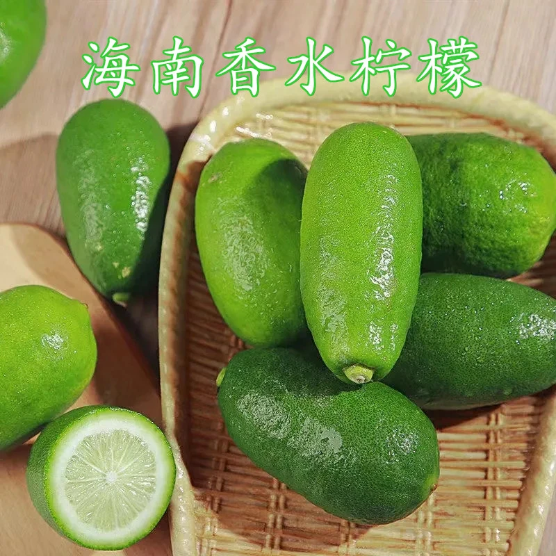 正宗无籽香水海南香水柠檬四季青柠檬产地直销水果鲜果批发小青柠