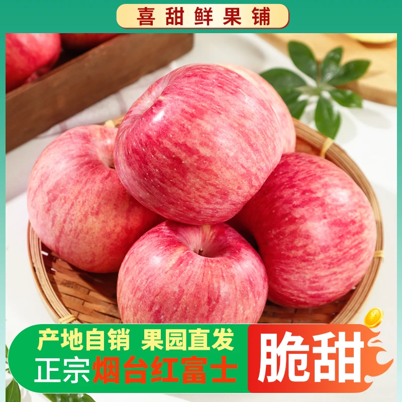 【产地自销】正宗山东烟台红富士苹果新摘脆甜多汁带箱5斤栖霞苹果