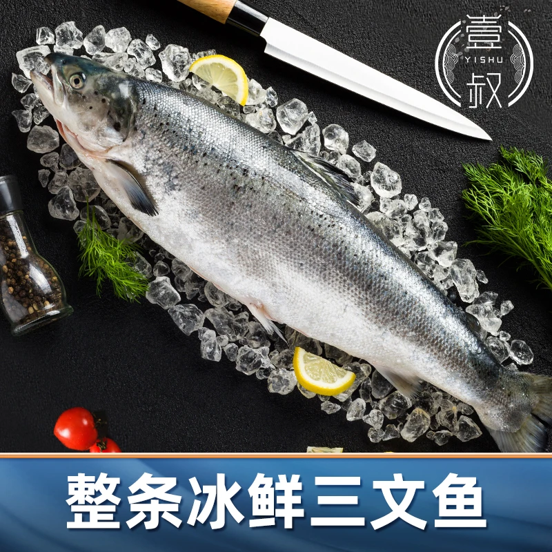 挪威冰鲜三文鱼整条5.5-5kg（整条发货）切片联系客服