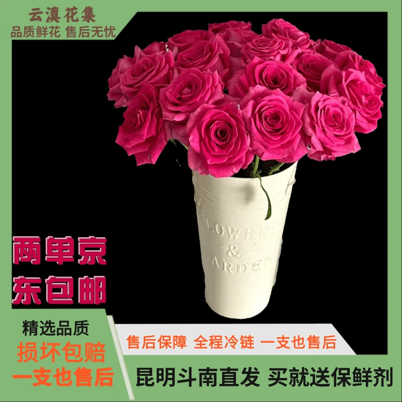 【云滇花集】京东到家AB级佛洛依德玫瑰云南昆明直两单包邮佛洛依德