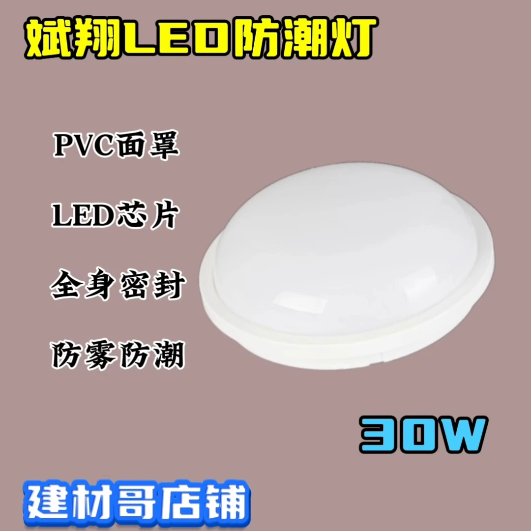 正品斌翔LED30W防潮灯浴室阳台户外卫生间游泳馆防雾明装吸顶灯